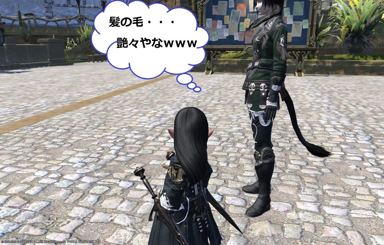 Ff14 日記 ヘアカタログ ロングヘア 試しに変えてみましたｗ 黒コートが好きなんです