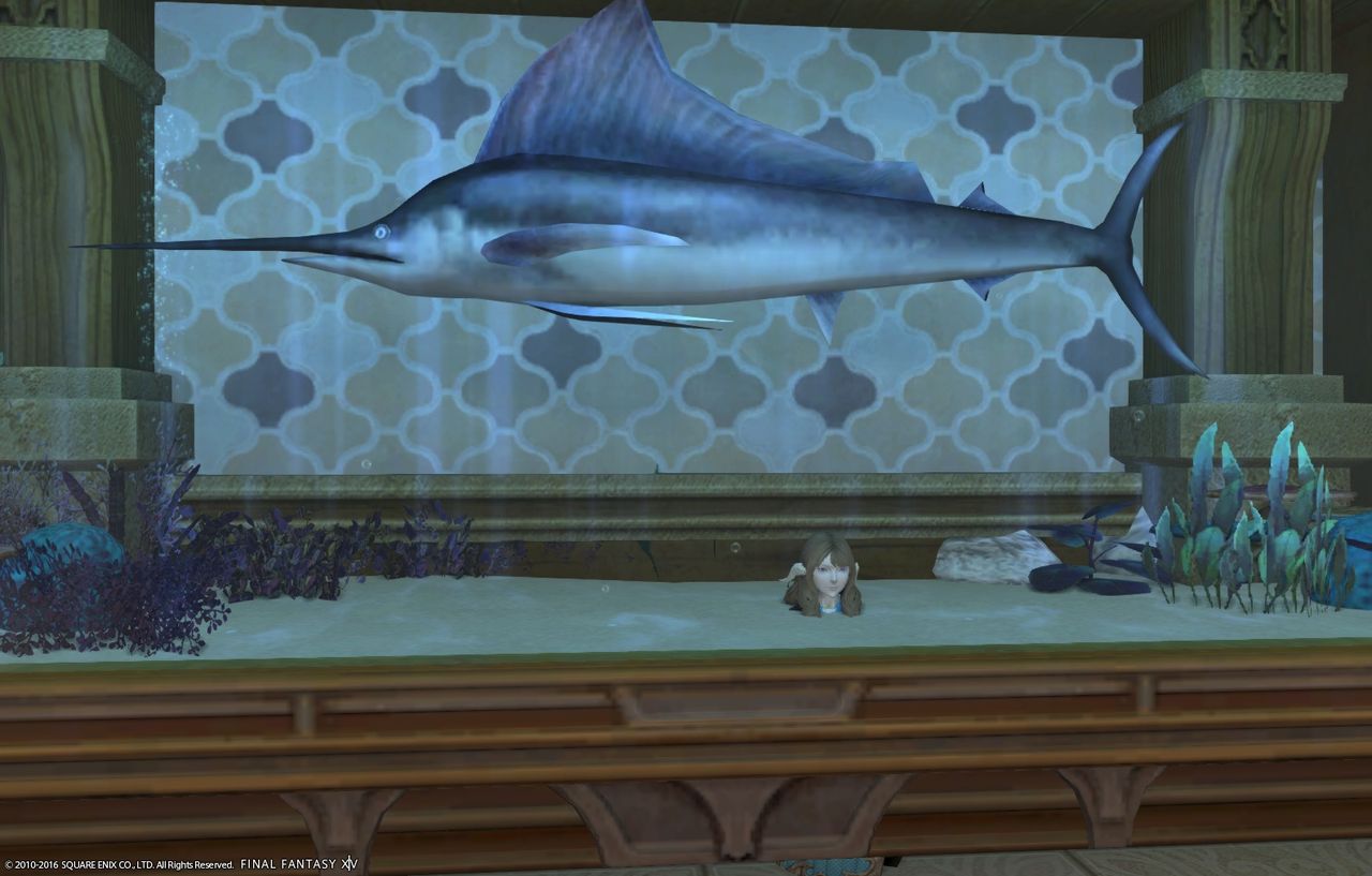 Ff14 パッチ3 4 ハウジング 水槽 水槽の楽しみ方色々 黒コートが好きなんです