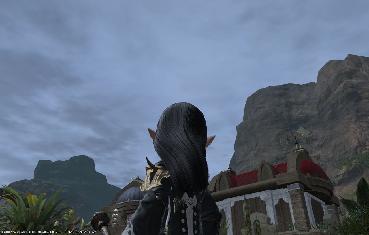 Ff14 日記 ヘアカタログ ロングヘア 試しに変えてみましたｗ 黒コートが好きなんです