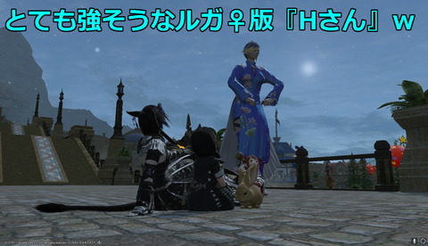 ffxiv diary1488