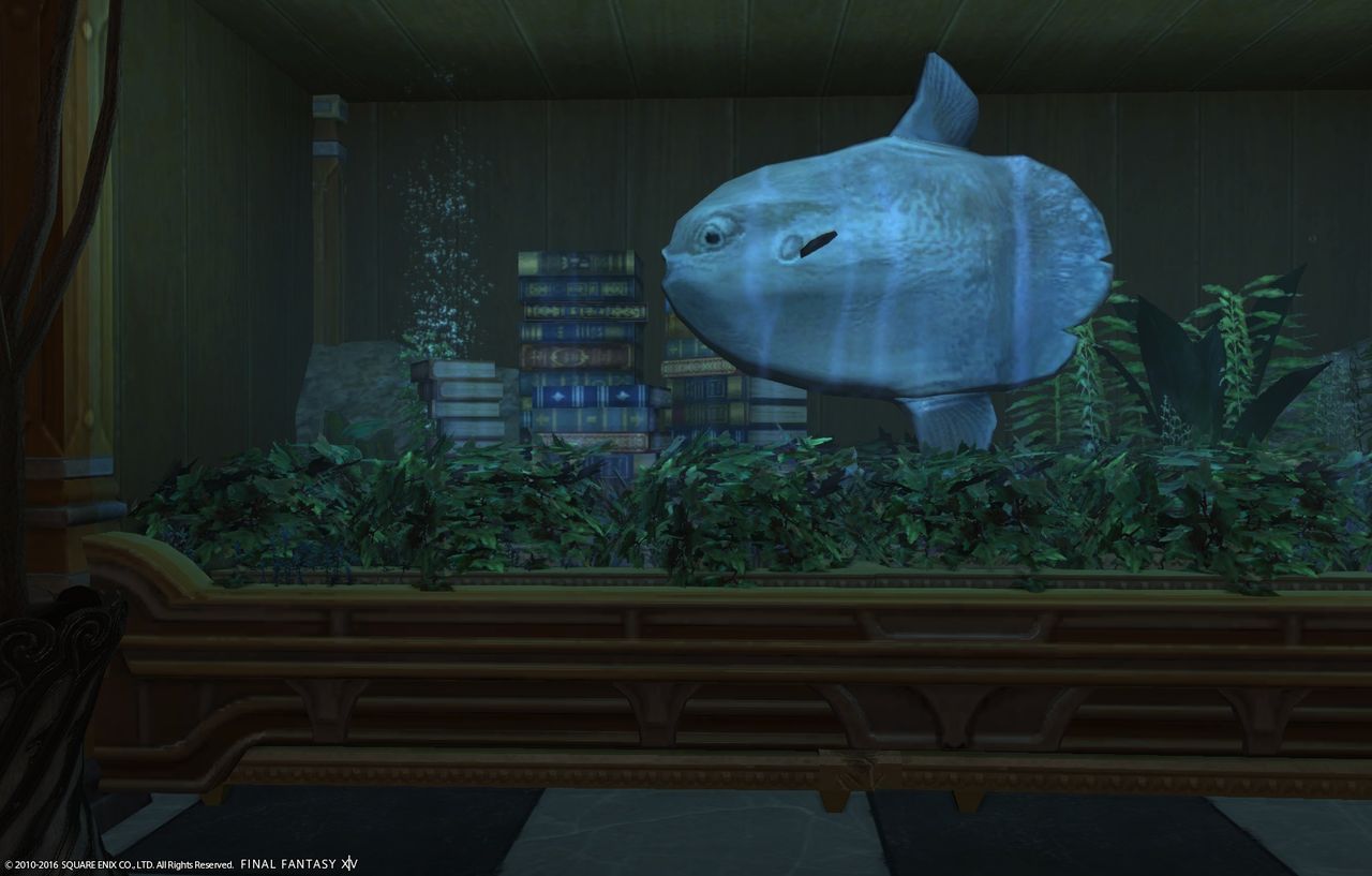 Ff14 パッチ3 4 ハウジング 水槽 水槽の楽しみ方色々 黒コートが好きなんです