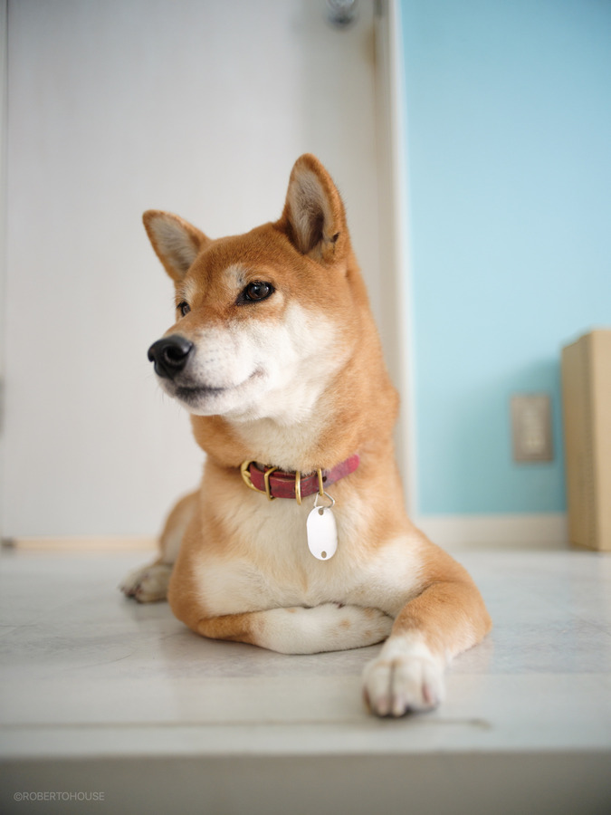 8B560BAB-245A-4965-AEB2-AE575CC920A3