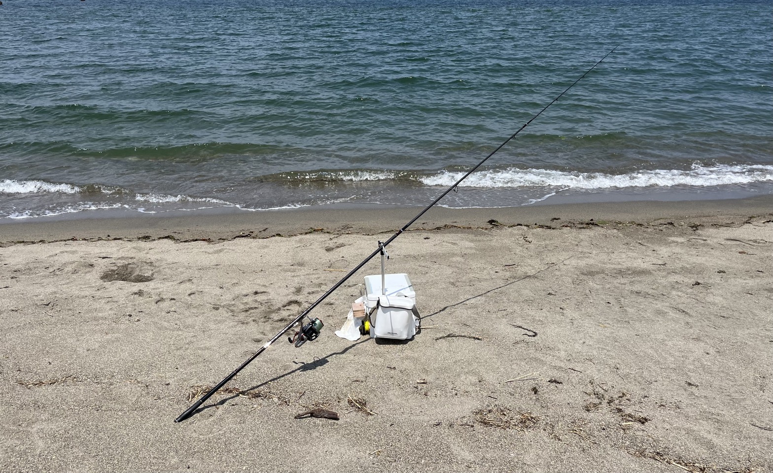 72BB96ED-705B-4492-8C64-0C35B58D21A6