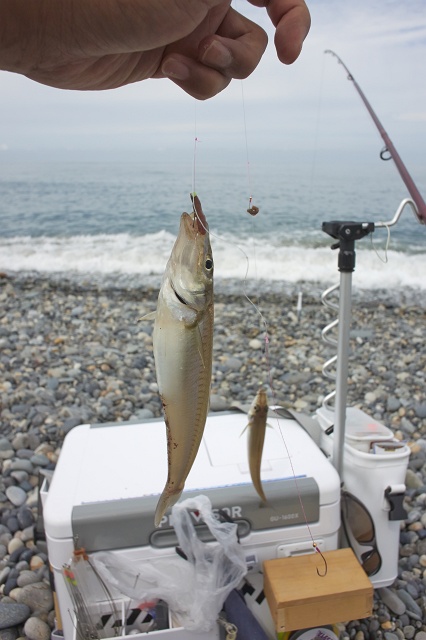 DSC_8094 (1) _640