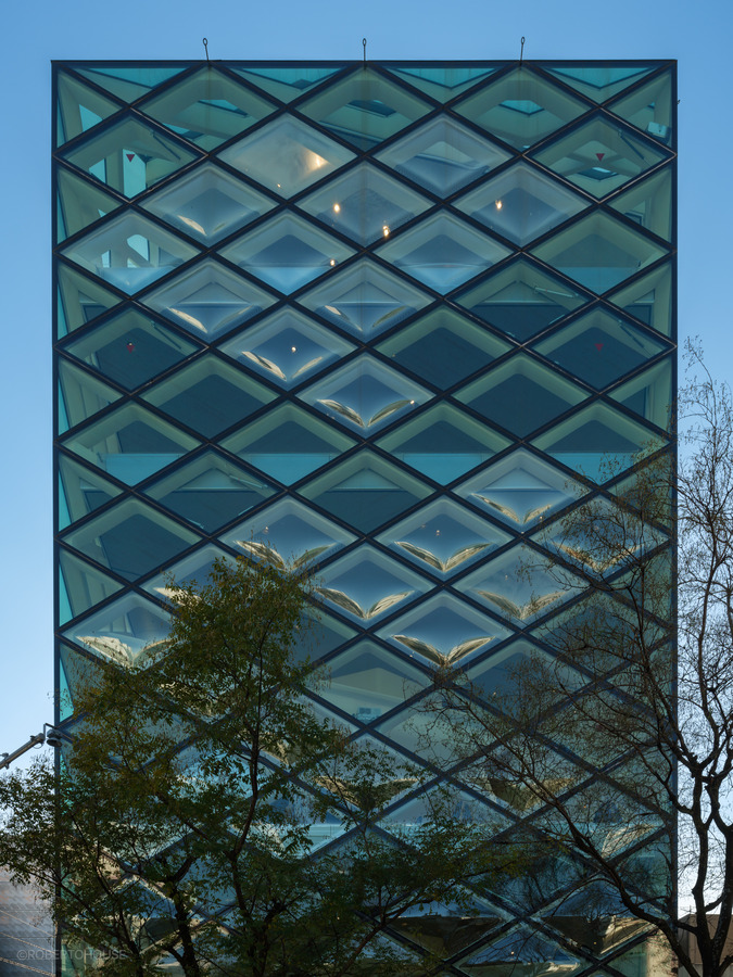 DSCF1154