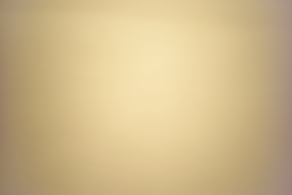 L1002376 5