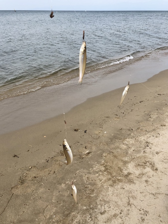 47DD6440-5319-49FB-9224-26265FCDDB94