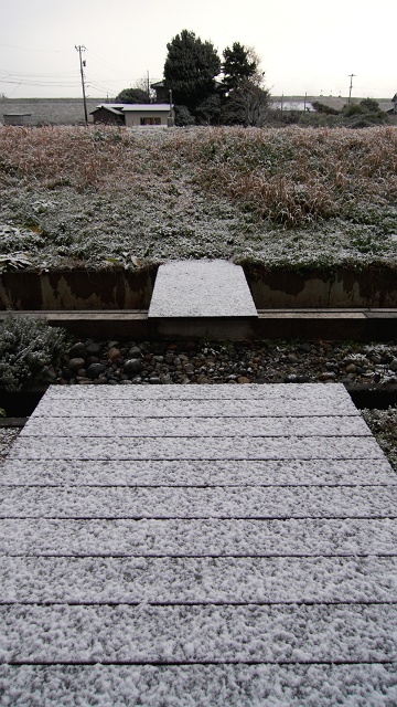23b564b6.jpg