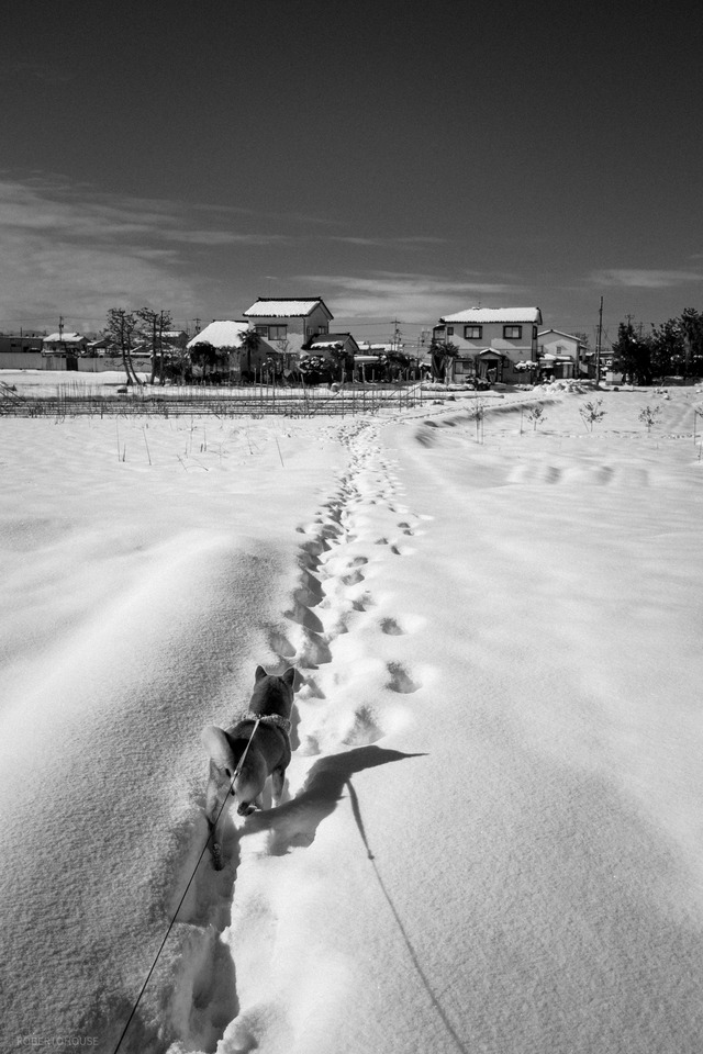 B85B8CBF-024A-4ABD-A652-62D2BB8E4B52