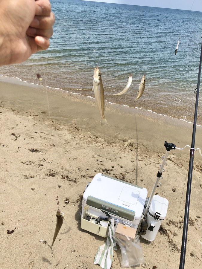 1D2101C7-926E-4CCA-86C2-9CFE44EA2A32