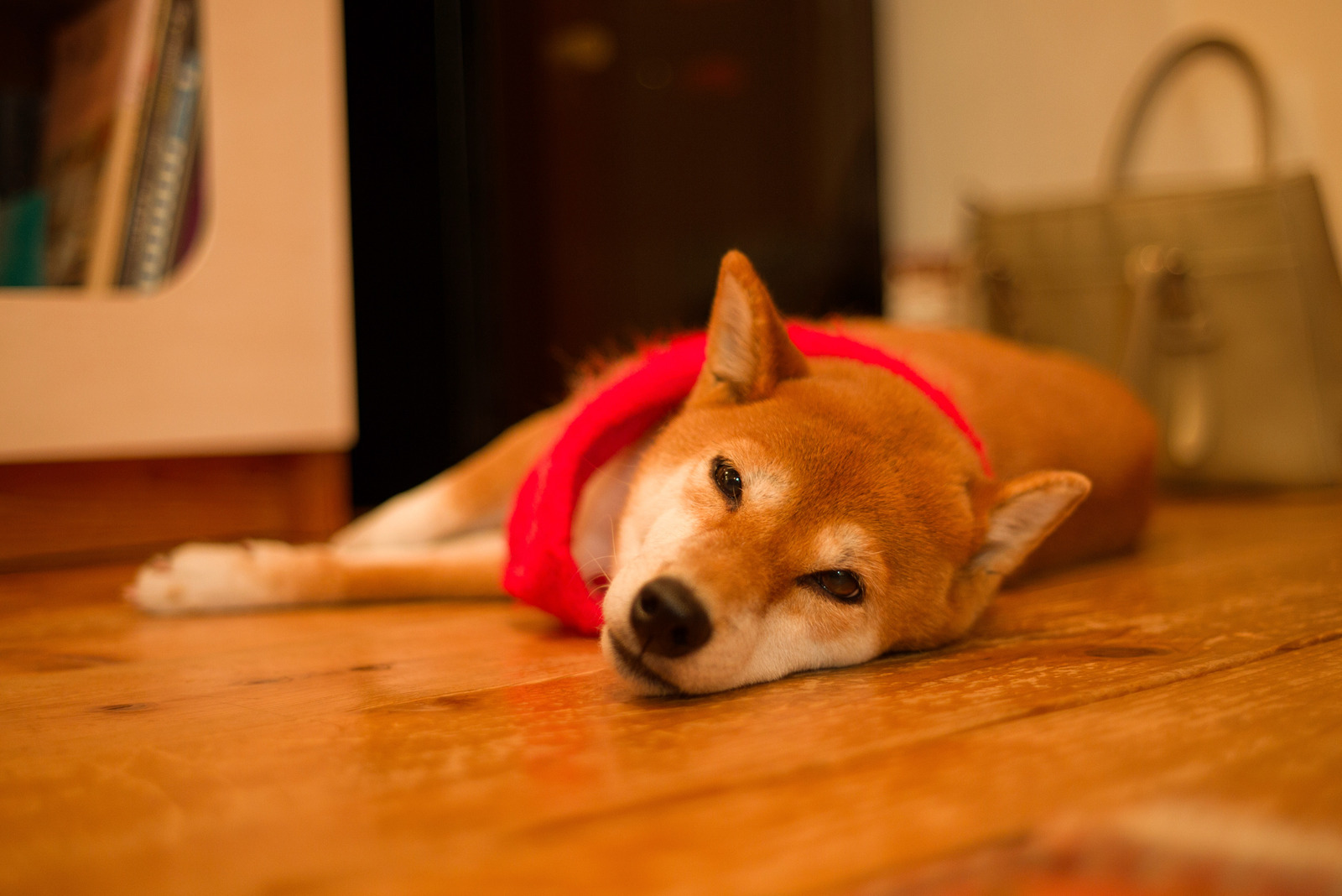 85B0B532-45FC-4492-9FC3-1FE3B9610158