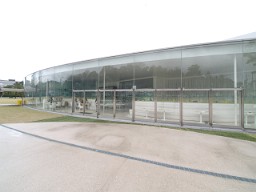 3321e131.jpg