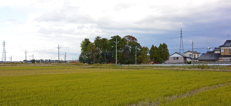 DSC_0197a_1600