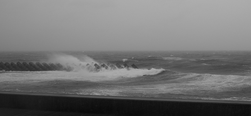 DSC_3740 (1) _1600