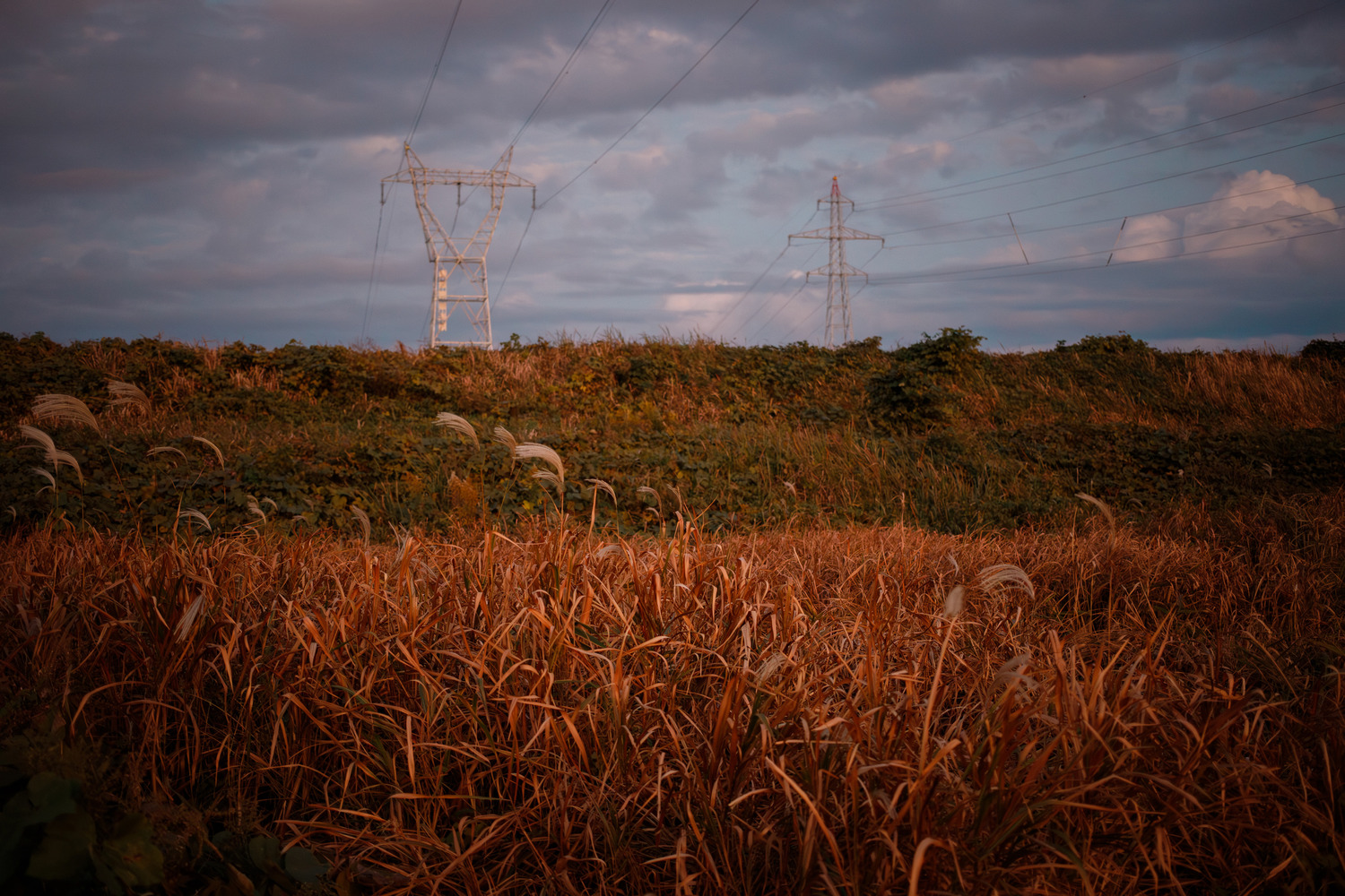 IMG_7940-Enhanced-NR