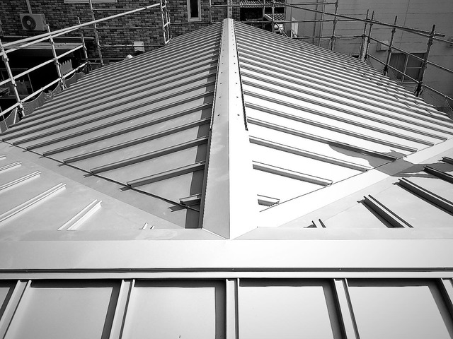 9453BF5D-4E0B-4DC4-A3DA-8FE089C11141