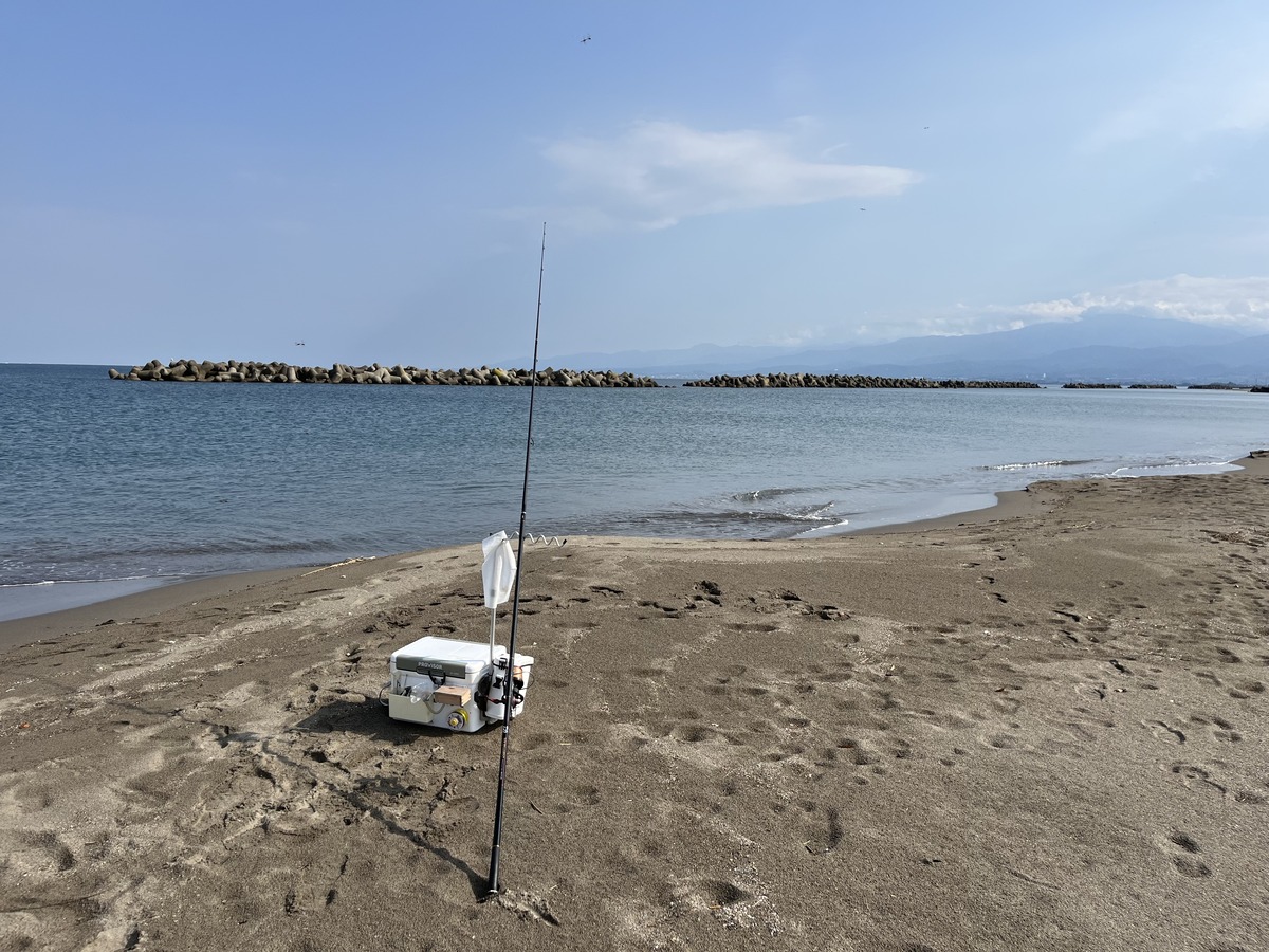 AB084592-A332-4F74-AB31-A7D96B2230F2