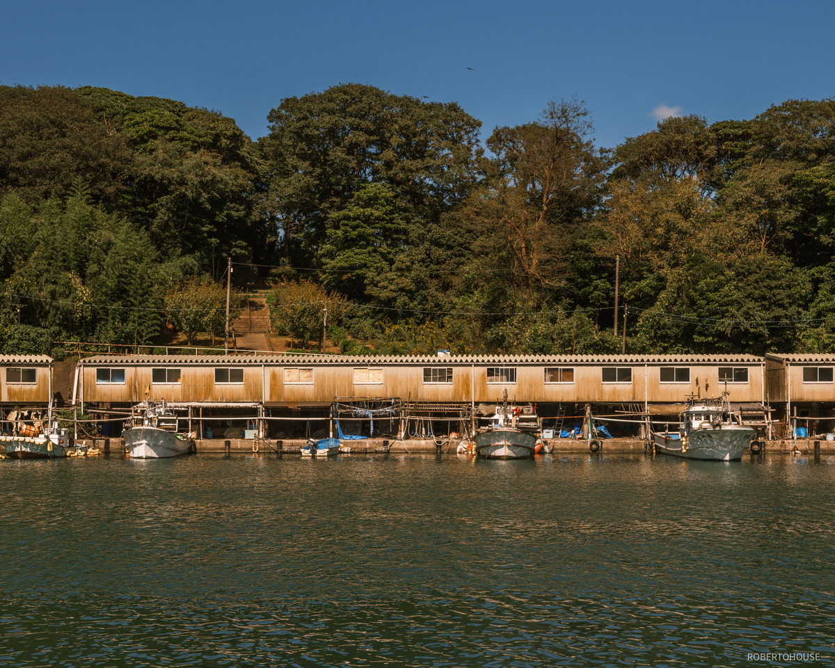 DSCF8350-Enhanced-SR-2