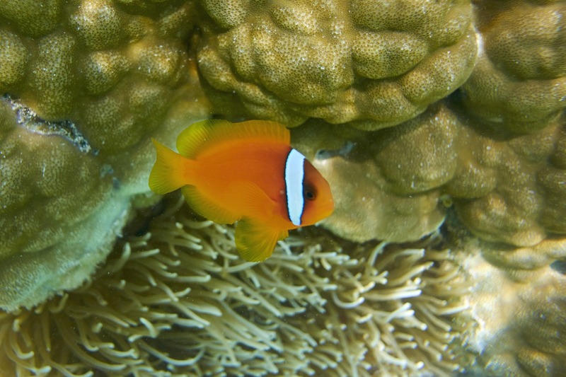 DSC_6677_1600