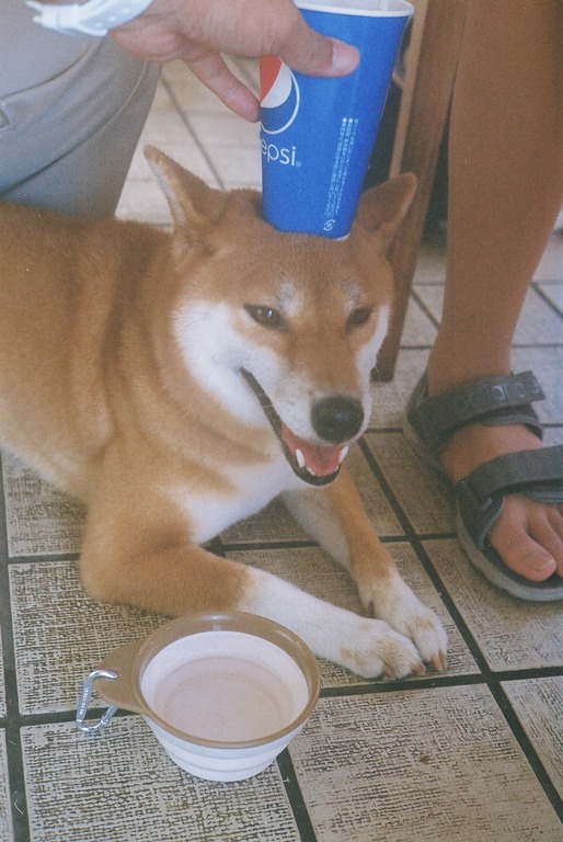 3D8B0F0F-0096-4FB3-A711-131F2E4B106F