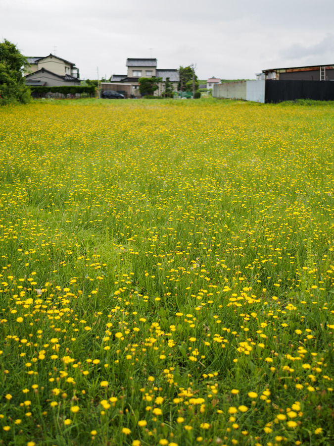 P6280039