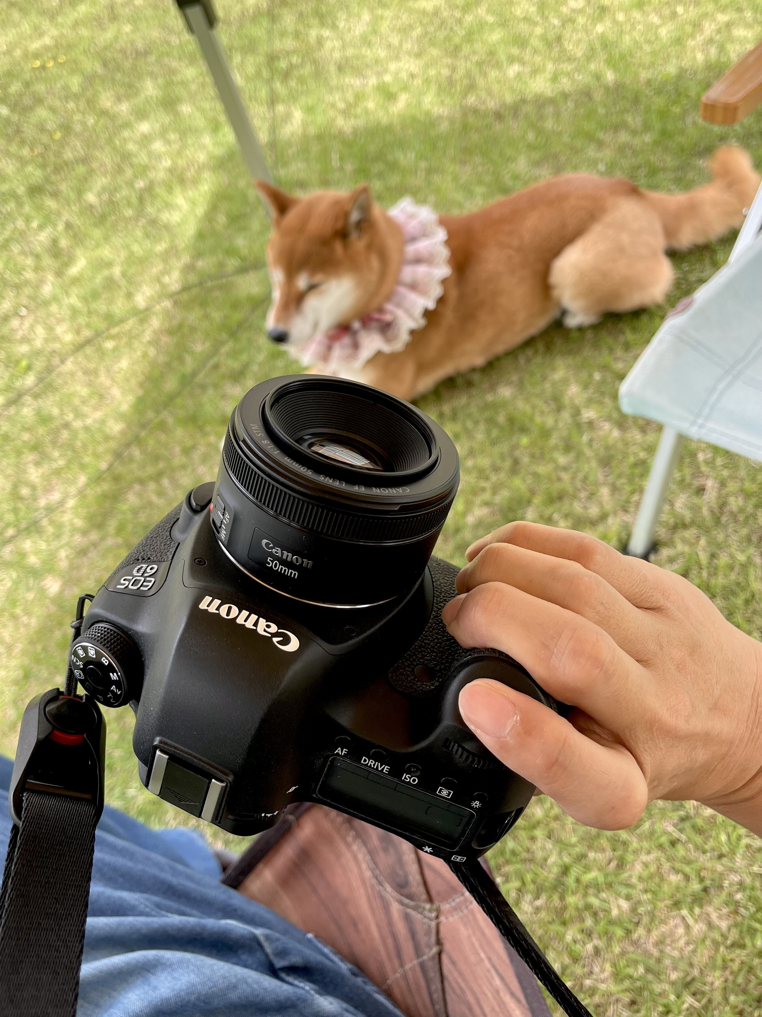フルサイズ一眼レフCanon EOS 6D ＋純正レンズ50m F1.8 レンタル - Canon フルサイズ一眼レフ & 標準単焦点セット EOS