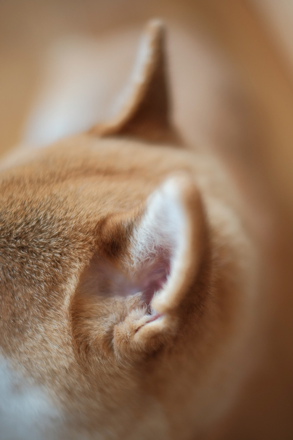 FF54F326-3CF4-4226-9F12-E55E392AB2C8