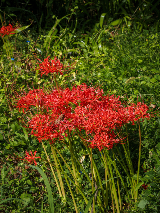 P9230015