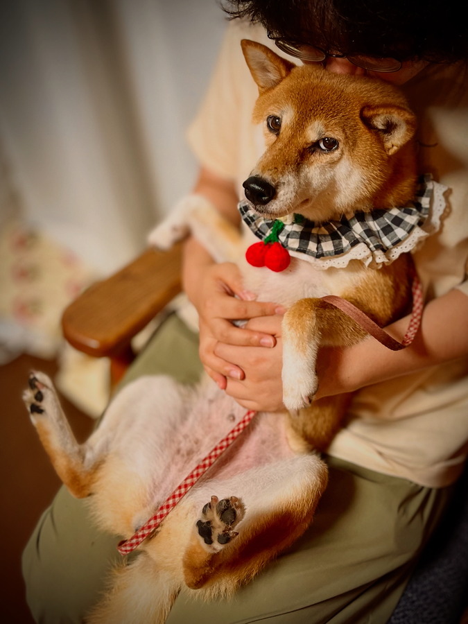 E5FA1D0D-0CF9-4AA6-94F6-96C31B42554D