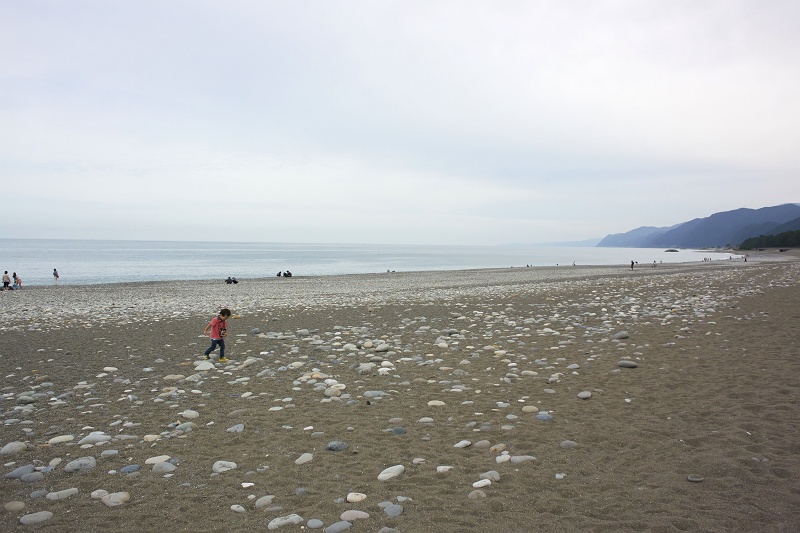 DSC_8088 (1) _800