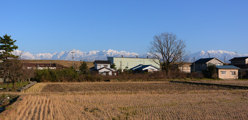 DSC_2284a