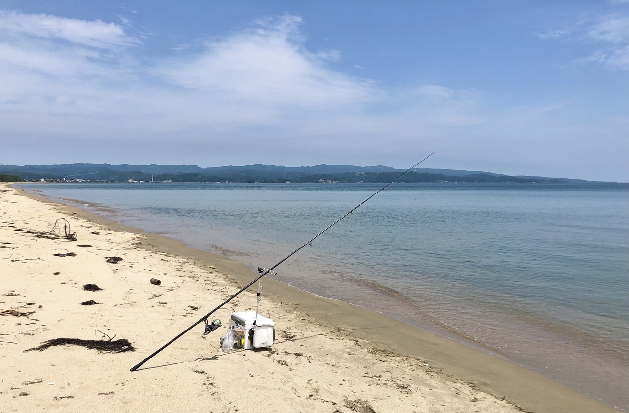 CEFD23DD-3618-4F09-B7F3-92A30EC36845