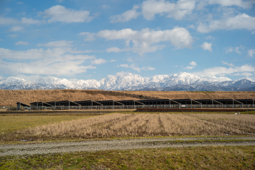 EE408CD6-D347-43B2-BF24-32A5EBA0FA11