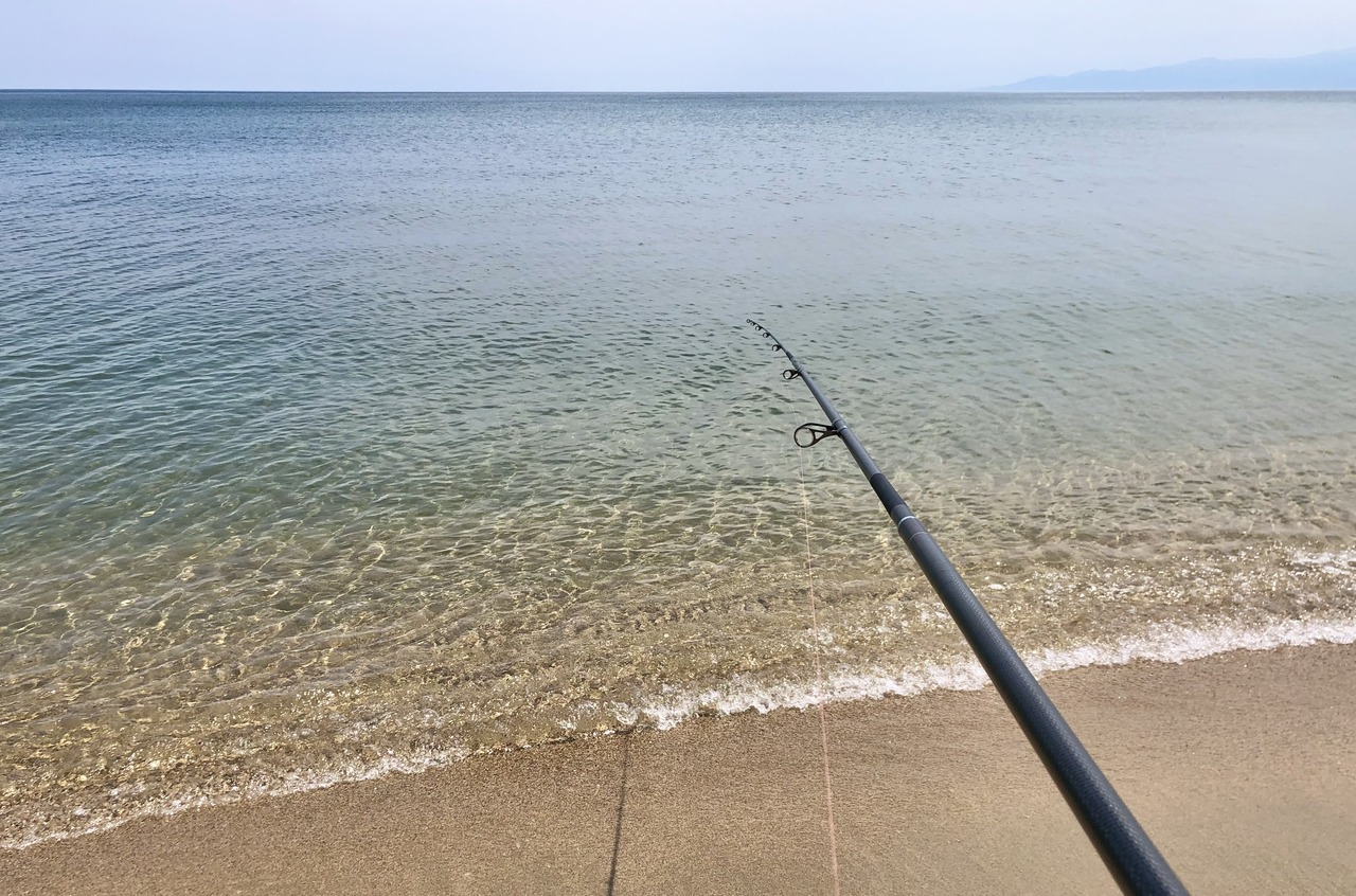 7EF49A62-5B2C-4E6C-8DBC-463804EEBB57