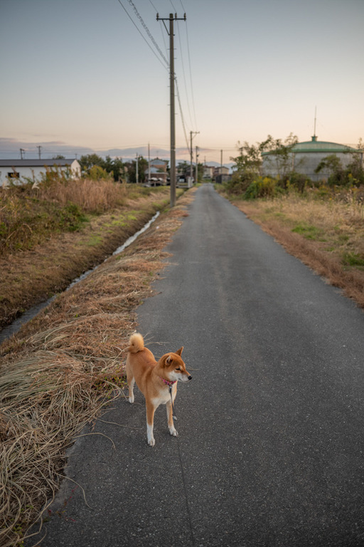 AC162A58-0DE0-4149-83B5-FA1618AD310A