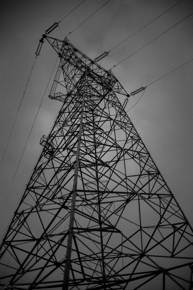 L1002083