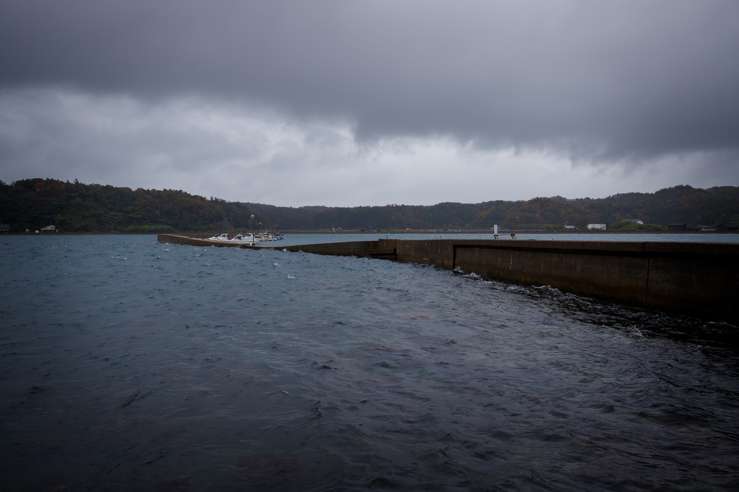 IMG_8047-Enhanced-NR