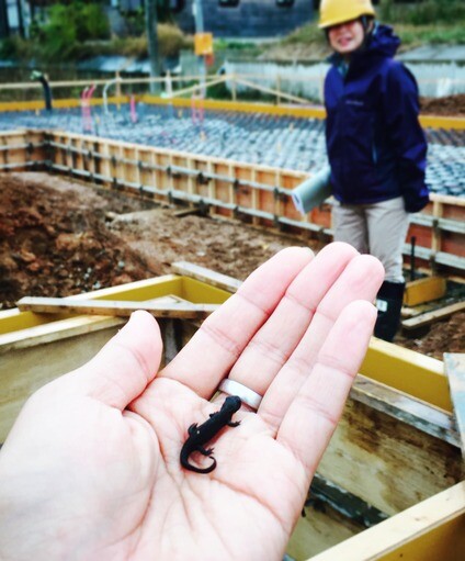 A5C287BC-3DAE-4000-AD45-461DEDE1E949