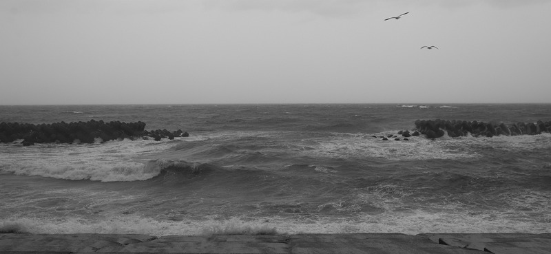 DSC_3701_1600
