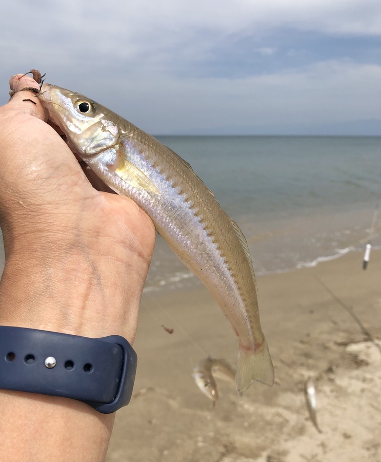 CBF82F75-81DB-427D-ADFF-6E985BF6CDAB