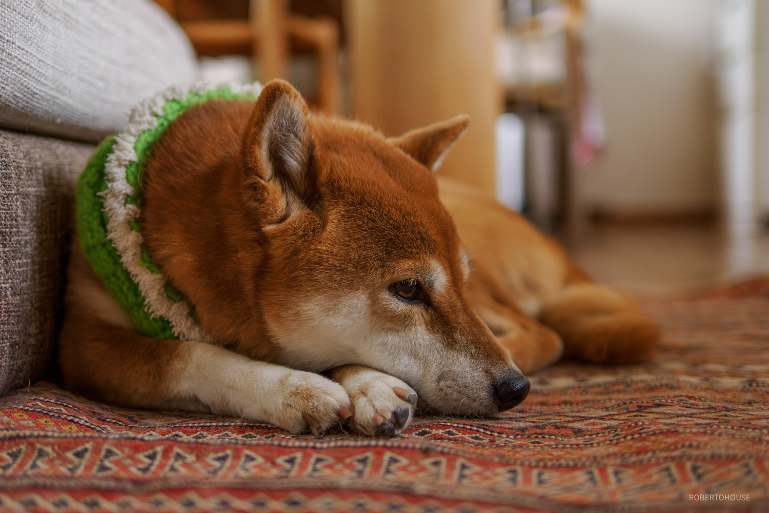 P1010205-Enhanced-NR-2