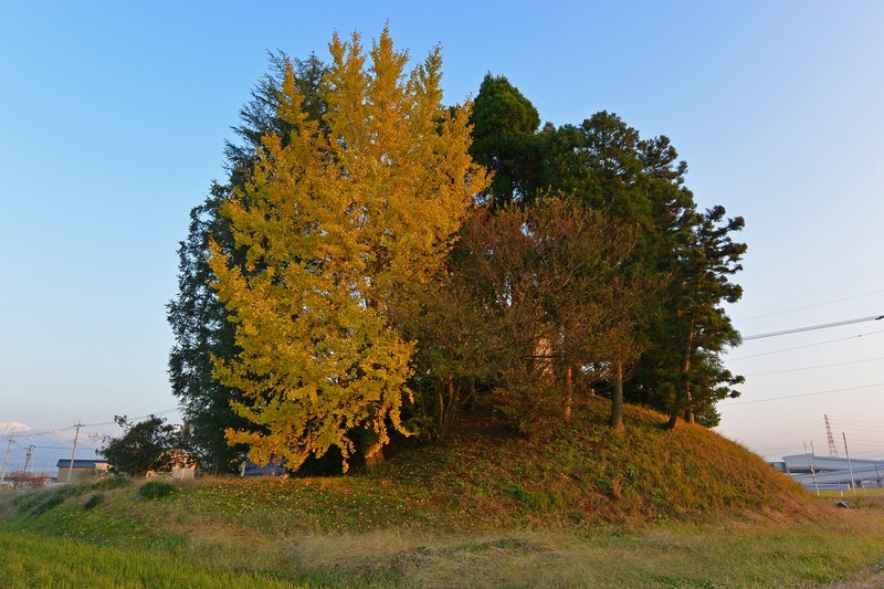 DSC_0833_1600