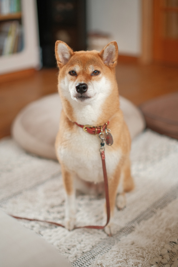 1AA46B8C-93C0-4303-A088-6370AC834B53