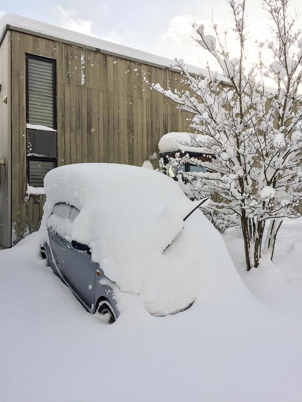 17992066_1530480197072415_7825310255047767696_n