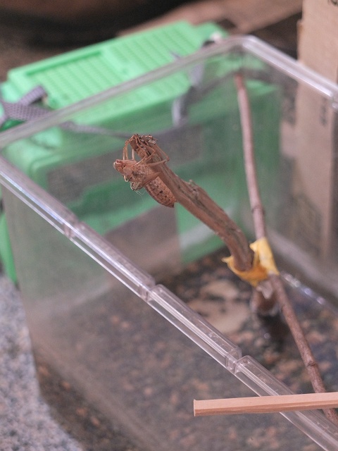 DSCF2316_640