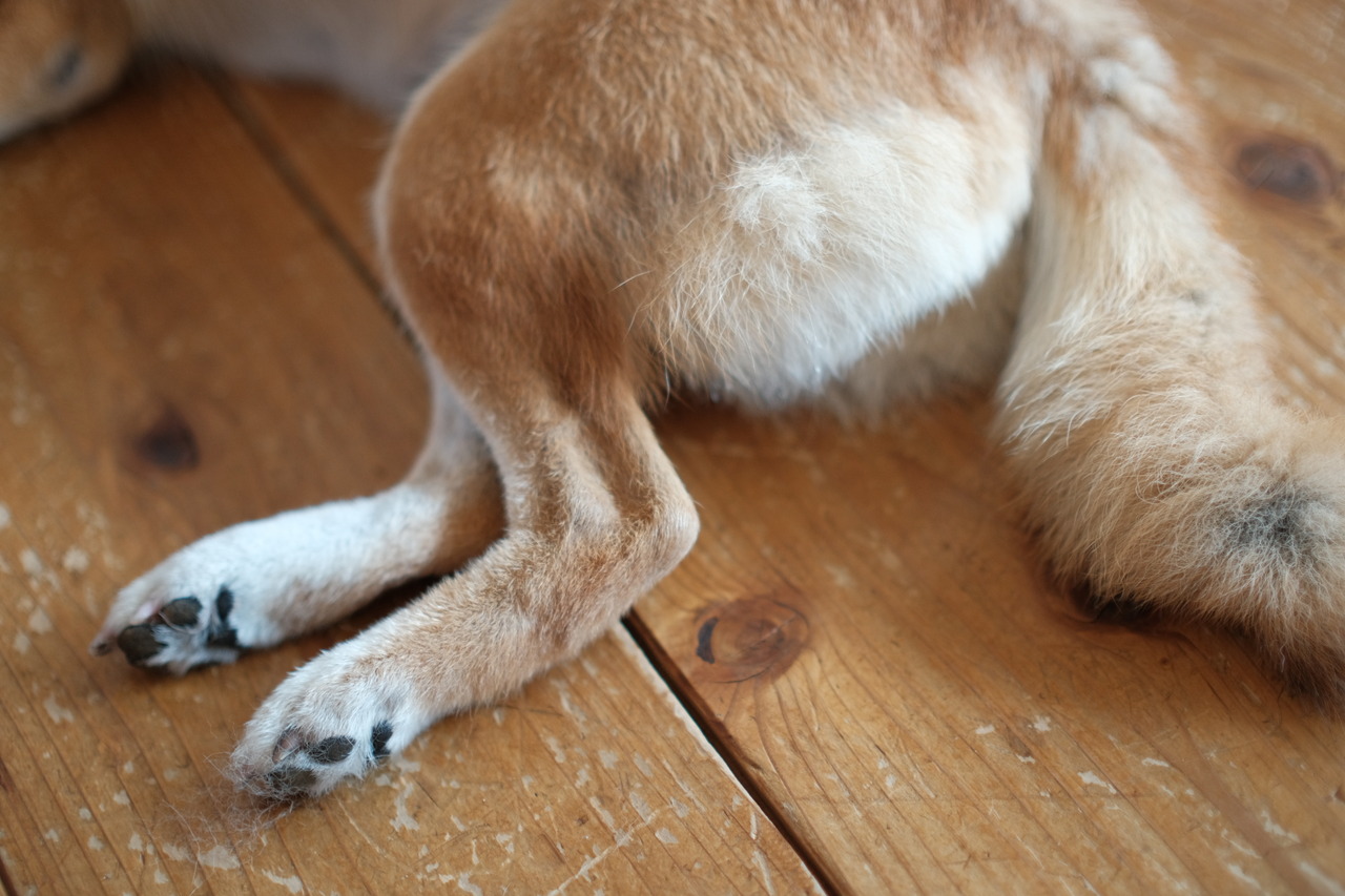 619ADD35-FDD4-4226-850E-1B4F93474422