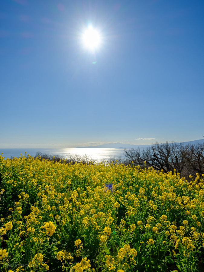 ED450762-8576-42CD-84E2-E80788C42CE3