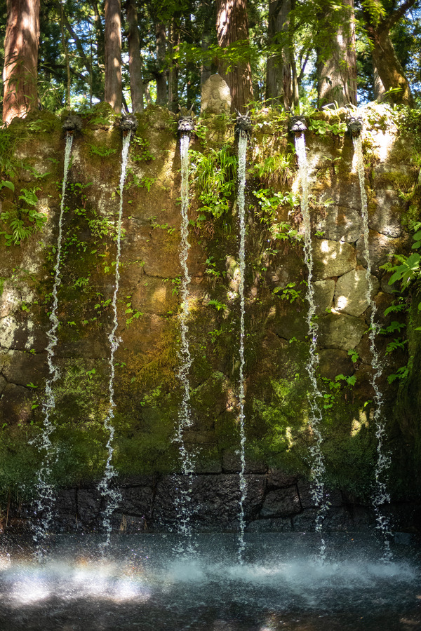 AC09312D-B510-481B-A34F-6221CD2523A9