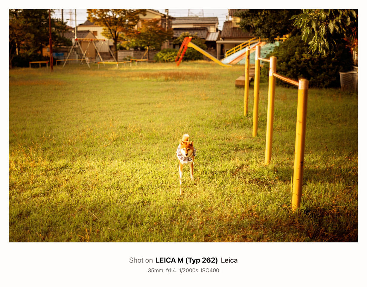 E3CE2A7E-27AB-4462-8C00-B0D09B2B8795