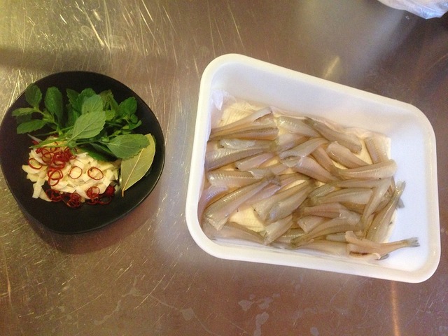 Robertohouse オイル ピンギス Robertohouse オイル ピンギス